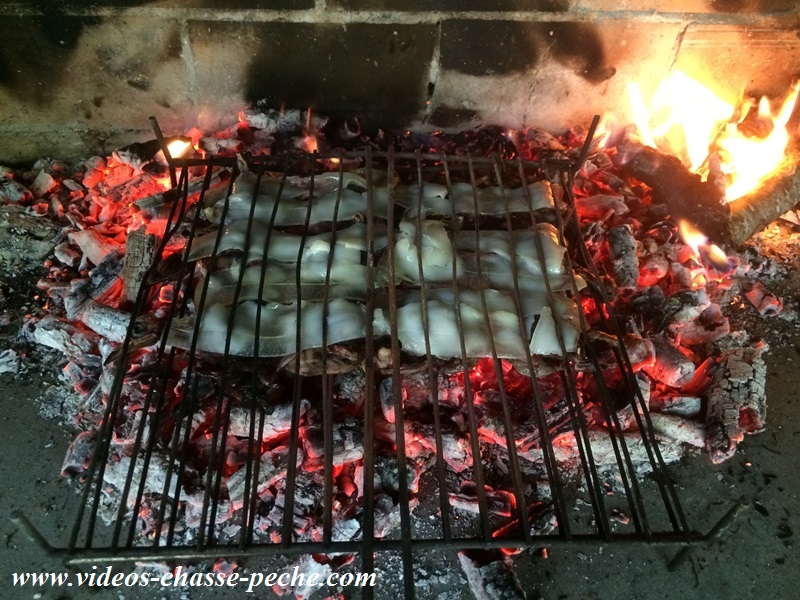 recette grive crapaudine recette grive crapaudine